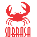 Tatuagem SOBRASA - cartela com 6 unds