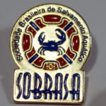 PIN SOBRASA 2 cm em aço