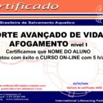 Certificado SOBRASA SAVA I - Suporte Avançado de Vida em Afogamento